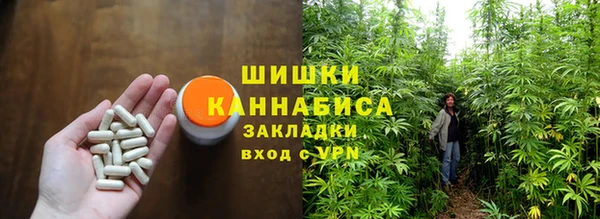 сатива Лагань