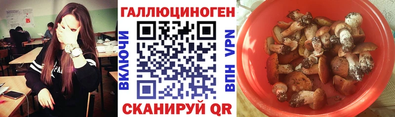 Псилоцибиновые грибы MAGIC MUSHROOMS Смоленск